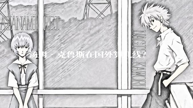 汤姆·克鲁斯在国外算几线？