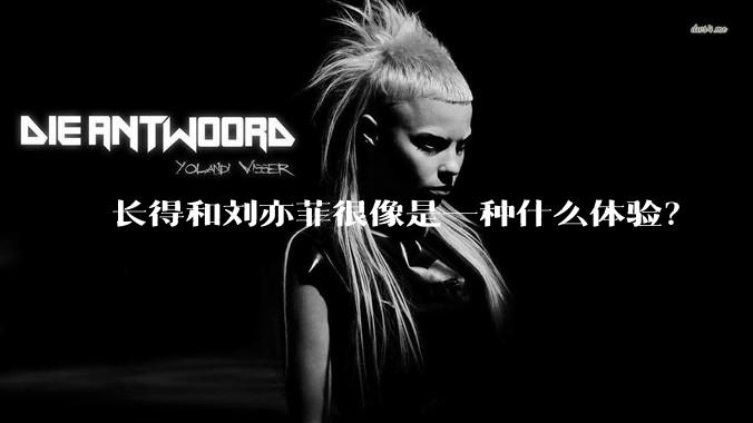 长得和刘亦菲很像是一种什么体验？