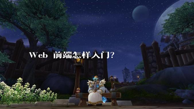 Web 前端怎样入门？