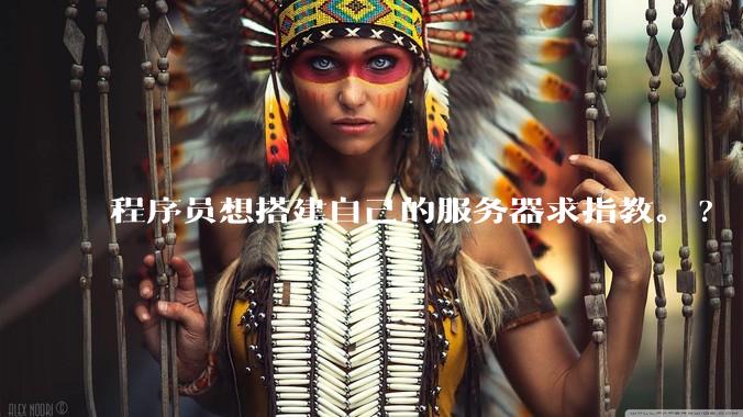 程序员想搭建自己的服务器求指教。?