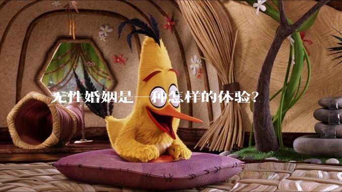 无性婚姻是一种怎样的体验？