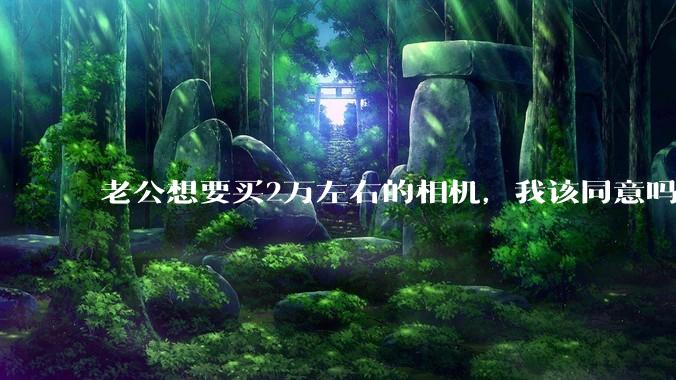 老公想要买2万左右的相机，我该同意吗？