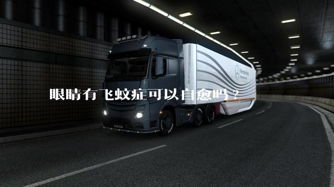 眼睛有飞蚊症可以自愈吗?