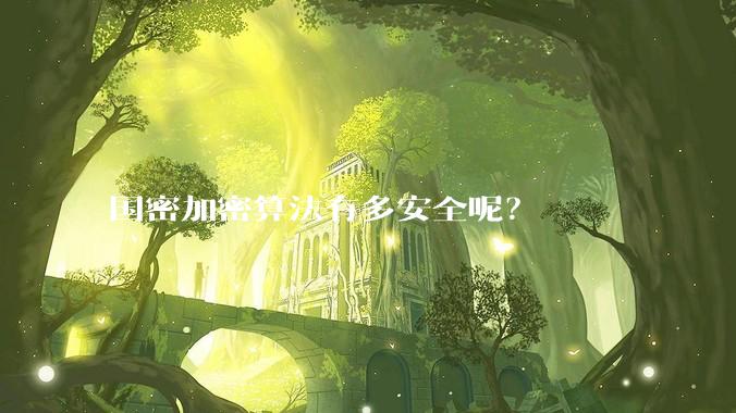 国密加密算法有多安全呢？