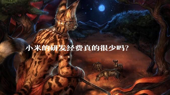 小米的研发经费真的很少吗？