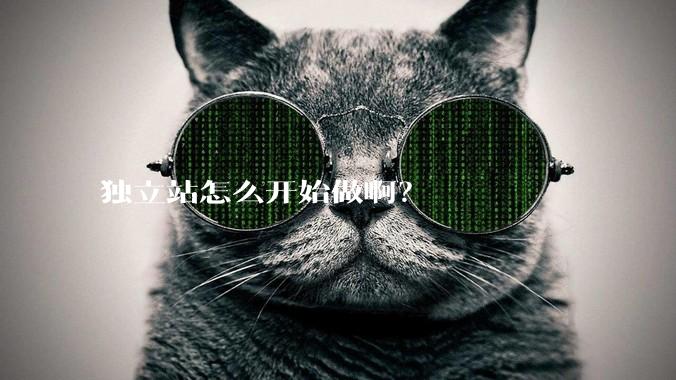 独立站怎么开始做啊？
