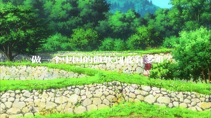 做一个中国的微软到底有多难？