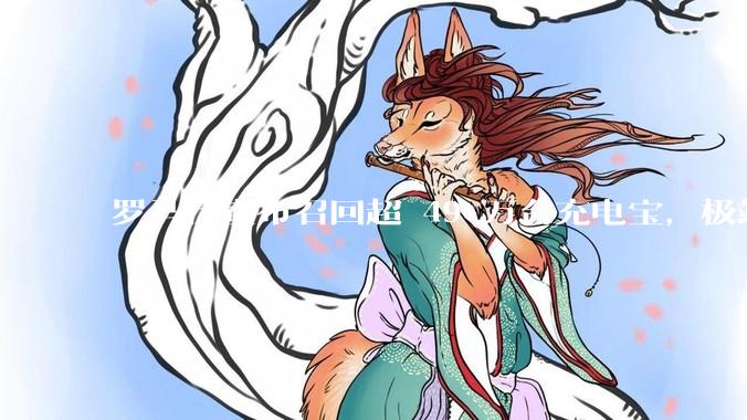 罗马仕宣布召回超 49 万台充电宝，极端场景下可能有燃烧风险，有多危险？为何有安全隐患的产品能够上市？