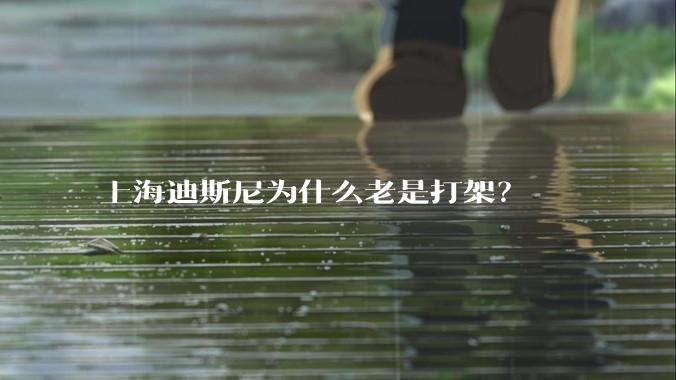 上海迪斯尼为什么老是打架？