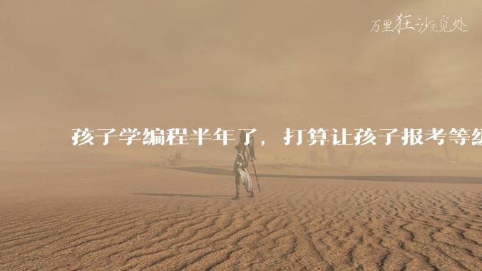 孩子学编程半年了，打算让孩子报考等级考试，大家觉得等级考试证书有用吗？