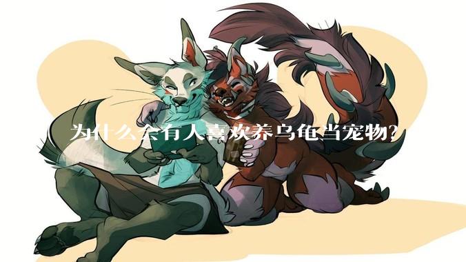 为什么会有人喜欢养乌龟当宠物？